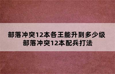 部落冲突12本各王能升到多少级 部落冲突12本配兵打法